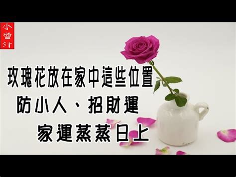 玫瑰海棠風水|玫瑰風水：改運妙招